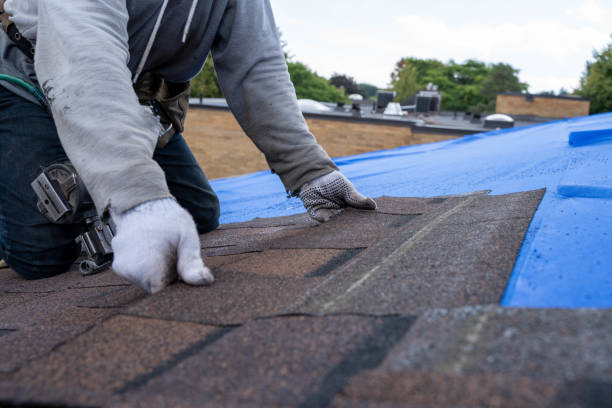 Best Roof Installation  in Standish, MI